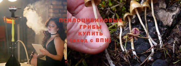 прущий лед Алзамай
